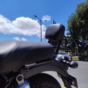 Espaldar con parrilla